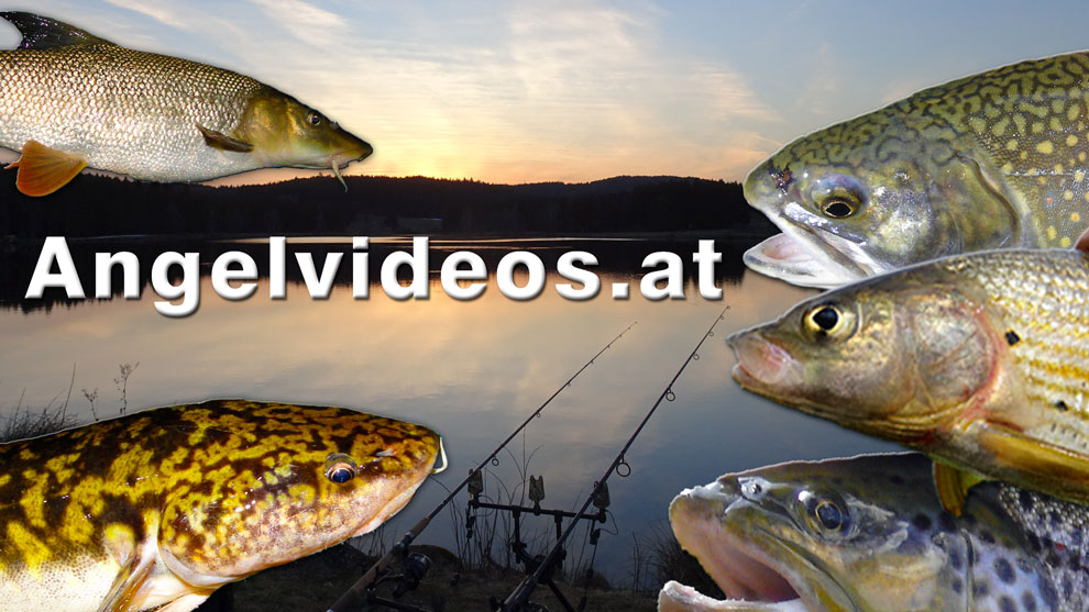 Angelvideos Österreich Angelvideos